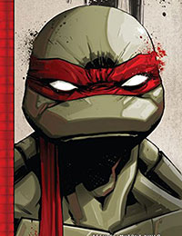 Read Teenage Mutant Ninja Turtles: The IDW Collection online